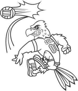 Volleyball